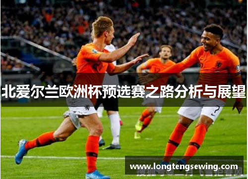 北爱尔兰欧洲杯预选赛之路分析与展望