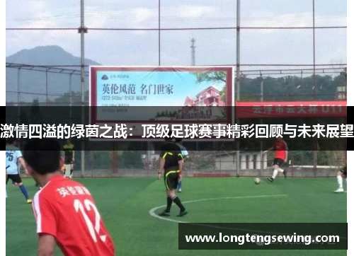 激情四溢的绿茵之战：顶级足球赛事精彩回顾与未来展望